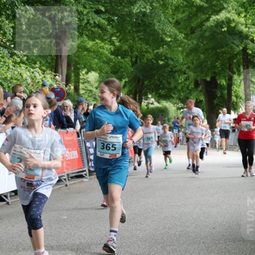 17.05.2025 - Störlauf Strokosch-Dieckow http://msf.ph/oto/7846857 17.05.2025 13:42:48 Ziel 2025, 237, 365, 161 meine-sportfotos.de