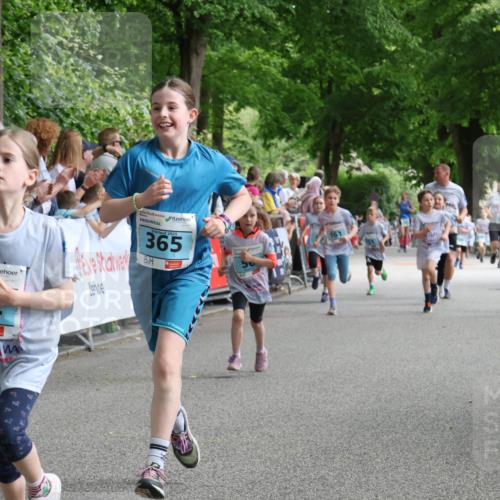 17.05.2025 - Störlauf Strokosch-Dieckow http://msf.ph/oto/7846859 17.05.2025 13:42:49 Ziel 2, 365, 20 meine-sportfotos.de