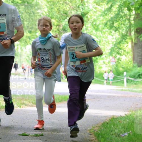 17.05.2025 - Störlauf Strokosch-Dieckow http://msf.ph/oto/7846883 17.05.2025 13:40:03 Laufen 2025, 20, 2 meine-sportfotos.de