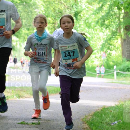 17.05.2025 - Störlauf Strokosch-Dieckow http://msf.ph/oto/7846886 17.05.2025 13:40:03 Laufen 2025, 20, 20, 2025, 247 meine-sportfotos.de