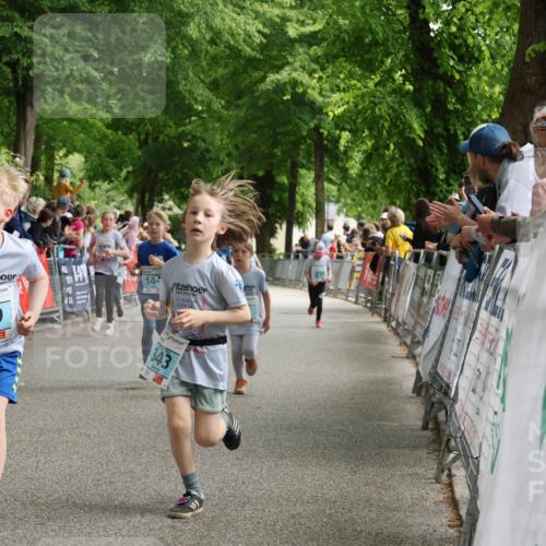 17.05.2025 - Störlauf Strokosch-Dieckow http://msf.ph/oto/7846891 17.05.2025 13:43:03 Ziel 2025, 339, 144, 343 meine-sportfotos.de