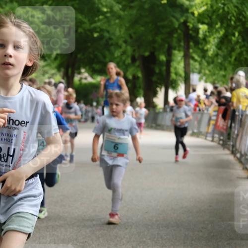 17.05.2025 - Störlauf Strokosch-Dieckow http://msf.ph/oto/7846893 17.05.2025 13:43:04 Ziel 2025, 343, 6 meine-sportfotos.de