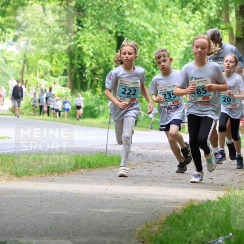17.05.2025 - Störlauf Strokosch-Dieckow http://msf.ph/oto/7846909 17.05.2025 13:40:12 Laufen 222, 235, 85, 209, 2025 meine-sportfotos.de