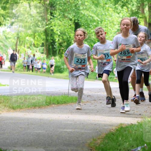 17.05.2025 - Störlauf Strokosch-Dieckow http://msf.ph/oto/7846912 17.05.2025 13:40:12 Laufen 222, 35, 285, 367 meine-sportfotos.de