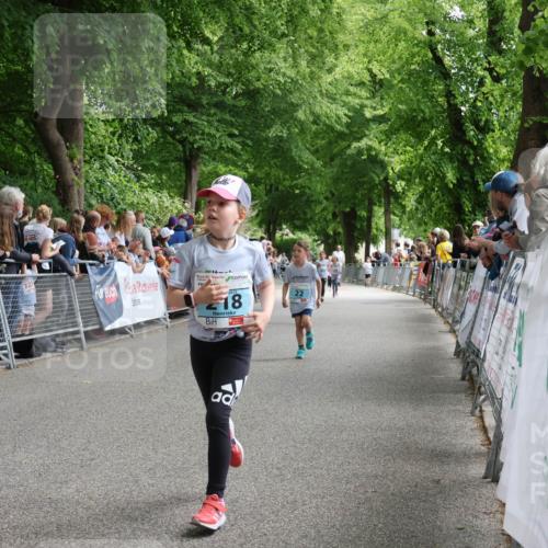 17.05.2025 - Störlauf Strokosch-Dieckow http://msf.ph/oto/7846917 17.05.2025 13:43:11 Ziel 254, 22, 2025, 18 meine-sportfotos.de