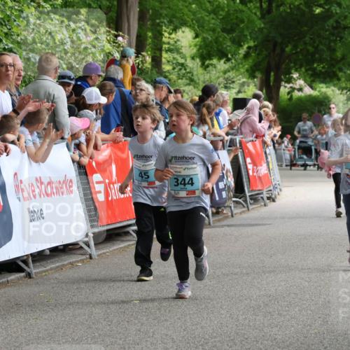 17.05.2025 - Störlauf Strokosch-Dieckow http://msf.ph/oto/7846931 17.05.2025 13:43:17 Ziel 45, 2025, 344, 75 meine-sportfotos.de