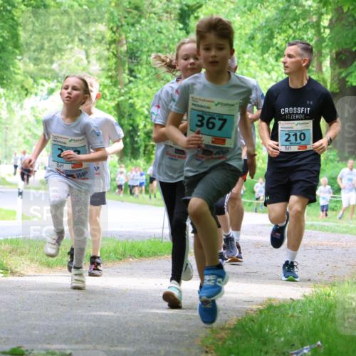17.05.2025 - Störlauf Strokosch-Dieckow http://msf.ph/oto/7846943 17.05.2025 13:40:14 Laufen 2025, 367, 210, 83 meine-sportfotos.de