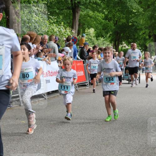17.05.2025 - Störlauf Strokosch-Dieckow http://msf.ph/oto/7846963 17.05.2025 13:43:31 Ziel 2025, 99, 80, 111, 52, 134, 19, 211 meine-sportfotos.de