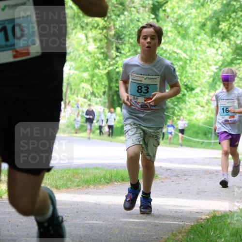17.05.2025 - Störlauf Strokosch-Dieckow http://msf.ph/oto/7846968 17.05.2025 13:40:18 Laufen 210, 2025, 83, 16 meine-sportfotos.de