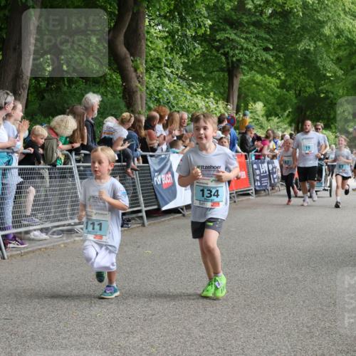 17.05.2025 - Störlauf Strokosch-Dieckow http://msf.ph/oto/7846969 17.05.2025 13:43:32 Ziel 111, 134, 19, 87 meine-sportfotos.de