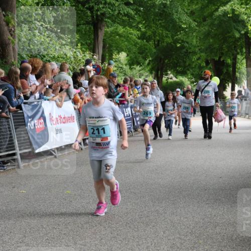 17.05.2025 - Störlauf Strokosch-Dieckow http://msf.ph/oto/7846986 17.05.2025 13:43:41 Ziel 211, 207, 269, 288, 286, 146 meine-sportfotos.de