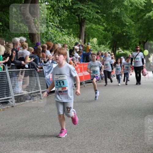 17.05.2025 - Störlauf Strokosch-Dieckow http://msf.ph/oto/7846988 17.05.2025 13:43:41 Ziel 211, 269, 286, 307 meine-sportfotos.de