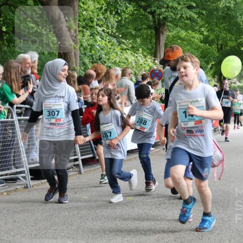 17.05.2025 - Störlauf Strokosch-Dieckow http://msf.ph/oto/7847001 17.05.2025 13:43:46 Ziel 307, 287, 288, 1, 10, 228, 331 meine-sportfotos.de