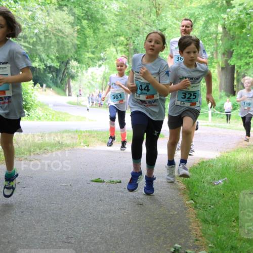 17.05.2025 - Störlauf Strokosch-Dieckow http://msf.ph/oto/7847053 17.05.2025 13:40:35 Laufen 24, 361, 36, 2025, 44, 325, 119, 215 meine-sportfotos.de