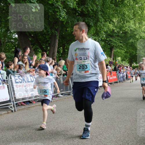 17.05.2025 - Störlauf Strokosch-Dieckow http://msf.ph/oto/7847066 17.05.2025 13:44:20 Ziel 0000, 206, 203 meine-sportfotos.de
