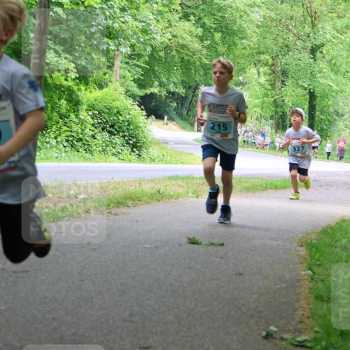17.05.2025 - Störlauf Strokosch-Dieckow http://msf.ph/oto/7847081 17.05.2025 13:40:40 Laufen 119, 215, 327, 133 meine-sportfotos.de