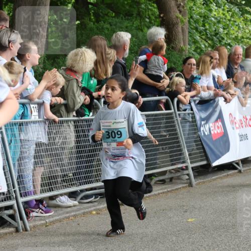 17.05.2025 - Störlauf Strokosch-Dieckow http://msf.ph/oto/7847089 17.05.2025 13:44:28 Ziel 2025, 165, 119, 2025, 309 meine-sportfotos.de