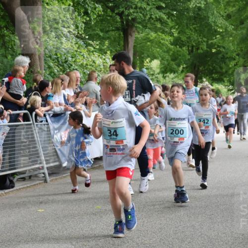 17.05.2025 - Störlauf Strokosch-Dieckow http://msf.ph/oto/7847091 17.05.2025 13:44:29 Ziel 2025, 34, 200, 242, 356, 346 meine-sportfotos.de