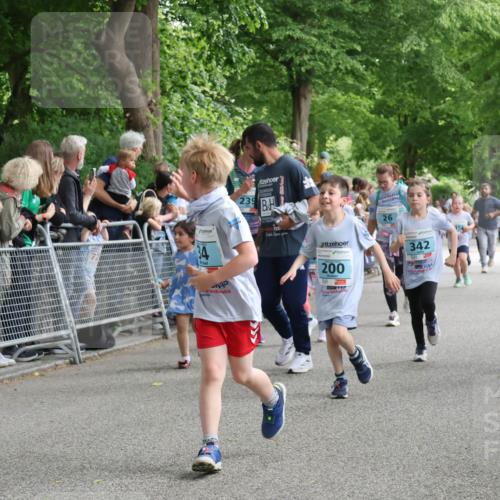 17.05.2025 - Störlauf Strokosch-Dieckow http://msf.ph/oto/7847094 17.05.2025 13:44:30 Ziel 239, 200, 342, 346 meine-sportfotos.de