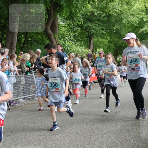 17.05.2025 - Störlauf Strokosch-Dieckow http://msf.ph/oto/7847098 17.05.2025 13:44:31 Ziel 2025, 34, 200, 85, 244, 26, 346 meine-sportfotos.de
