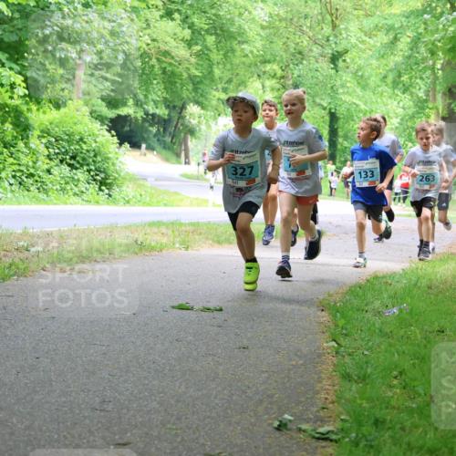 17.05.2025 - Störlauf Strokosch-Dieckow http://msf.ph/oto/7847099 17.05.2025 13:40:42 Laufen 327, 133, 263, 138 meine-sportfotos.de