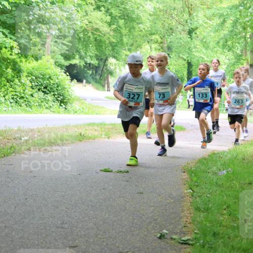 17.05.2025 - Störlauf Strokosch-Dieckow http://msf.ph/oto/7847107 17.05.2025 13:40:42 Laufen 327, 73, 133, 263, 138 meine-sportfotos.de