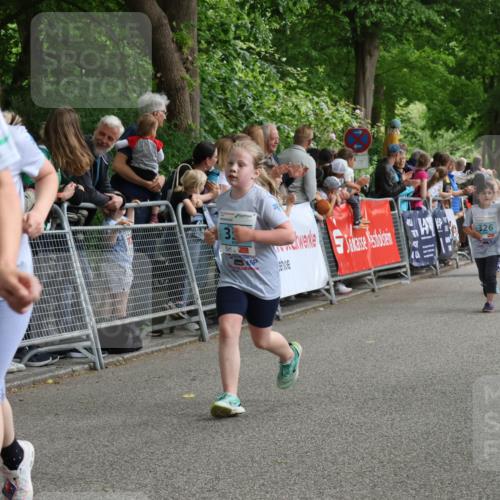17.05.2025 - Störlauf Strokosch-Dieckow http://msf.ph/oto/7847111 17.05.2025 13:44:35 Ziel 16, 326 meine-sportfotos.de