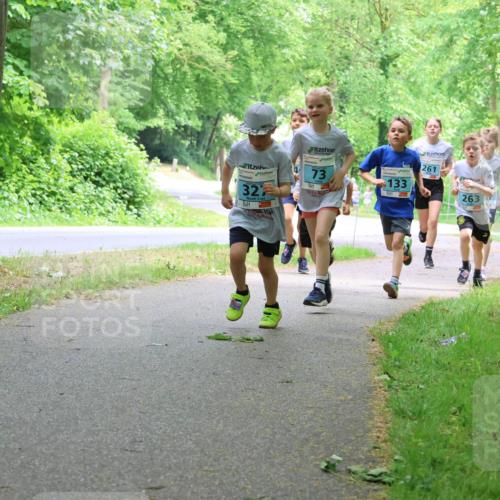 17.05.2025 - Störlauf Strokosch-Dieckow http://msf.ph/oto/7847114 17.05.2025 13:40:43 Laufen 32, 73, 133, 261, 263, 138 meine-sportfotos.de