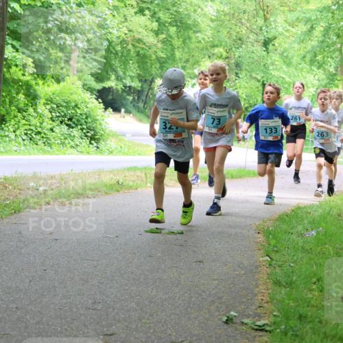 17.05.2025 - Störlauf Strokosch-Dieckow http://msf.ph/oto/7847119 17.05.2025 13:40:43 Laufen 327, 73, 133, 261, 263, 138 meine-sportfotos.de