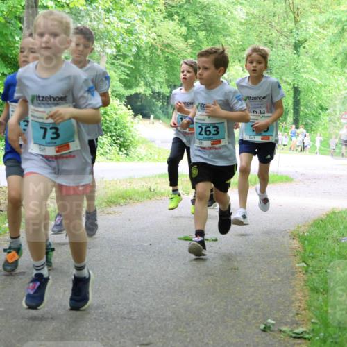 17.05.2025 - Störlauf Strokosch-Dieckow http://msf.ph/oto/7847135 17.05.2025 13:40:45 Laufen 12, 73, 263 meine-sportfotos.de