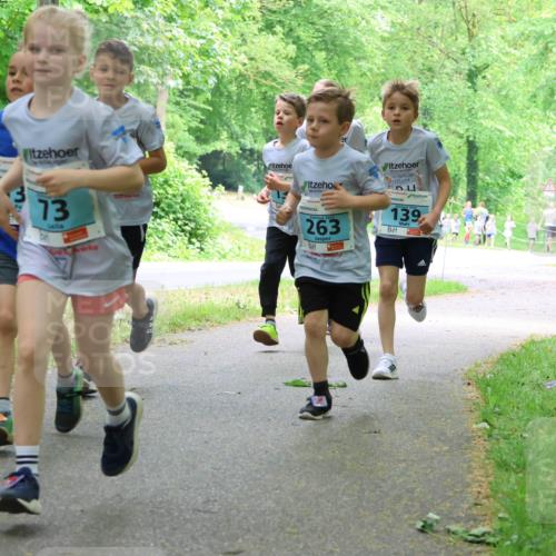 17.05.2025 - Störlauf Strokosch-Dieckow http://msf.ph/oto/7847139 17.05.2025 13:40:45 Laufen 29, 73, 263, 139 meine-sportfotos.de