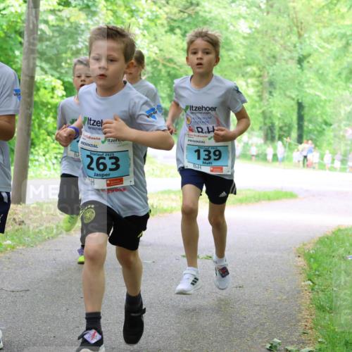 17.05.2025 - Störlauf Strokosch-Dieckow http://msf.ph/oto/7847151 17.05.2025 13:40:46 Laufen 202, 46, 2025, 263, 2025, 139 meine-sportfotos.de