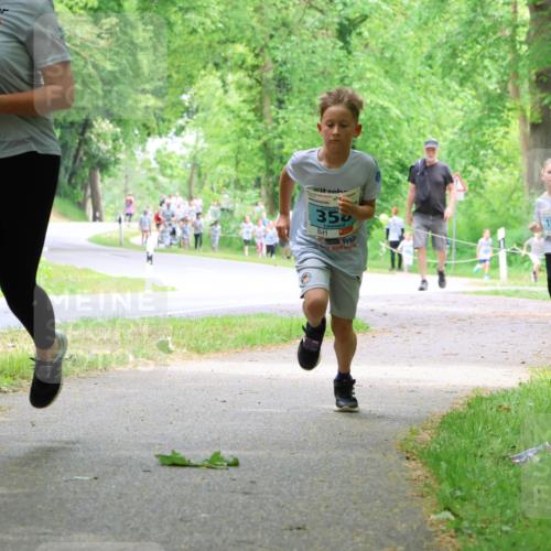 17.05.2025 - Störlauf Strokosch-Dieckow http://msf.ph/oto/7847187 17.05.2025 13:40:58 Laufen 113, 4, 350, 150, 208 meine-sportfotos.de