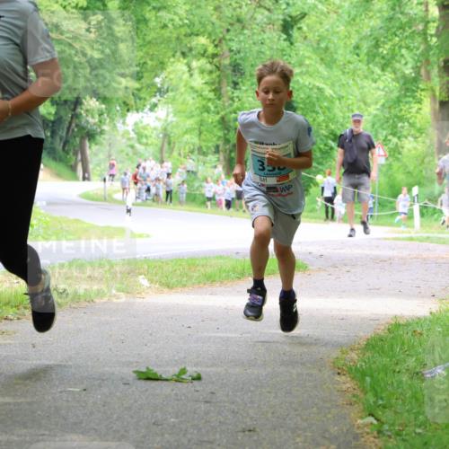 17.05.2025 - Störlauf Strokosch-Dieckow http://msf.ph/oto/7847192 17.05.2025 13:40:58 Laufen 113, 350, 150, 208 meine-sportfotos.de