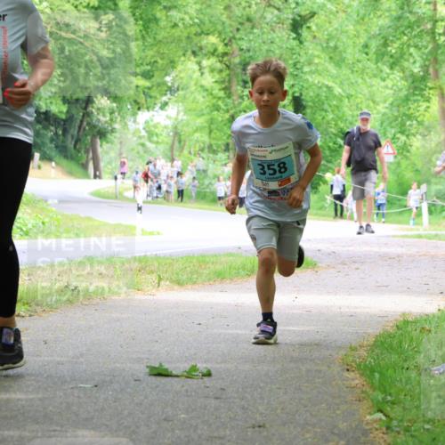 17.05.2025 - Störlauf Strokosch-Dieckow http://msf.ph/oto/7847200 17.05.2025 13:40:58 Laufen 13, 2023, 358, 150, 208 meine-sportfotos.de