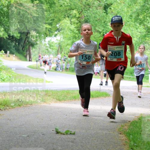 17.05.2025 - Störlauf Strokosch-Dieckow http://msf.ph/oto/7847207 17.05.2025 13:41:02 Laufen 2025, 150, 2025, 208, 54, 12, 10 meine-sportfotos.de