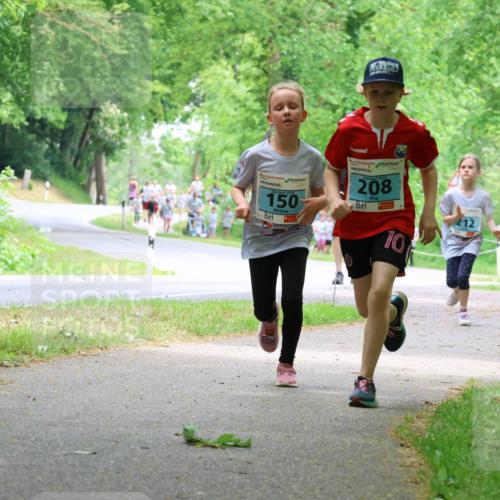 17.05.2025 - Störlauf Strokosch-Dieckow http://msf.ph/oto/7847212 17.05.2025 13:41:02 Laufen 150, 2025, 208, 197, 54, 212, 10 meine-sportfotos.de