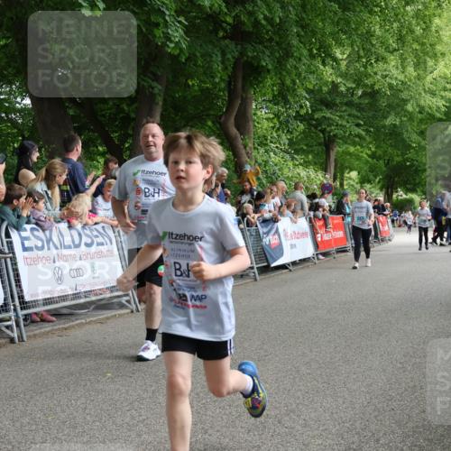 17.05.2025 - Störlauf Strokosch-Dieckow http://msf.ph/oto/7847215 17.05.2025 13:45:19 Ziel 0000, 0000, 243, 114 meine-sportfotos.de