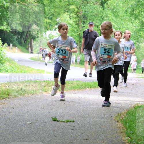 17.05.2025 - Störlauf Strokosch-Dieckow http://msf.ph/oto/7847238 17.05.2025 13:41:05 Laufen 2025, 212, 54, 97, 56 meine-sportfotos.de
