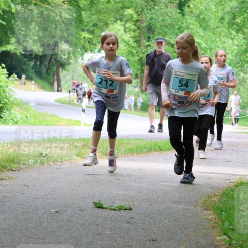 17.05.2025 - Störlauf Strokosch-Dieckow http://msf.ph/oto/7847242 17.05.2025 13:41:05 Laufen 212, 54, 56, 20 meine-sportfotos.de