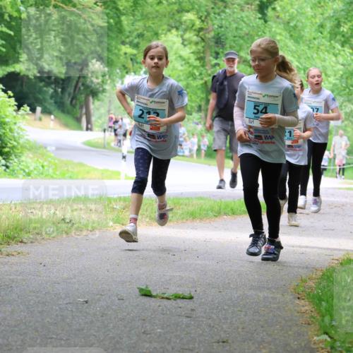 17.05.2025 - Störlauf Strokosch-Dieckow http://msf.ph/oto/7847246 17.05.2025 13:41:05 Laufen 23, 54, 64 meine-sportfotos.de
