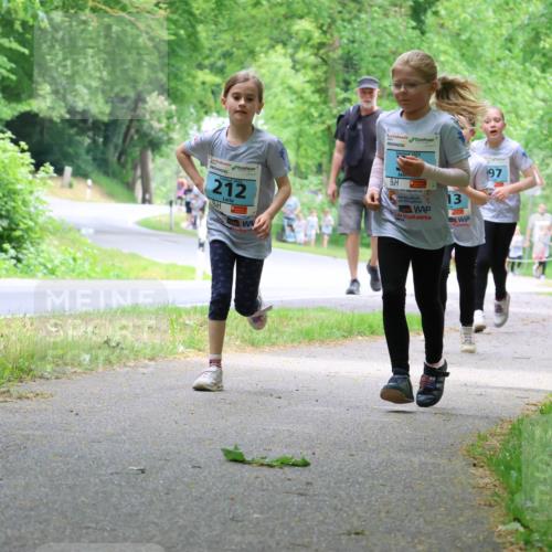 17.05.2025 - Störlauf Strokosch-Dieckow http://msf.ph/oto/7847250 17.05.2025 13:41:05 Laufen 212, 97, 56, 364 meine-sportfotos.de