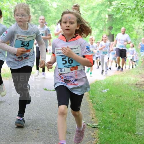 17.05.2025 - Störlauf Strokosch-Dieckow http://msf.ph/oto/7847273 17.05.2025 13:41:10 Laufen 2025, 54, 56, 5, 2 meine-sportfotos.de