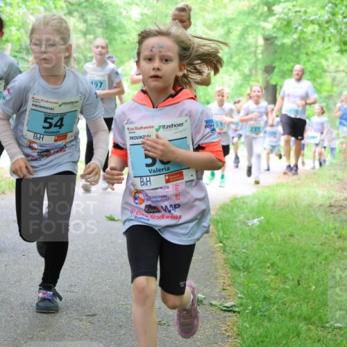 17.05.2025 - Störlauf Strokosch-Dieckow http://msf.ph/oto/7847278 17.05.2025 13:41:10 Laufen 2025, 54, 197, 237, 2 meine-sportfotos.de