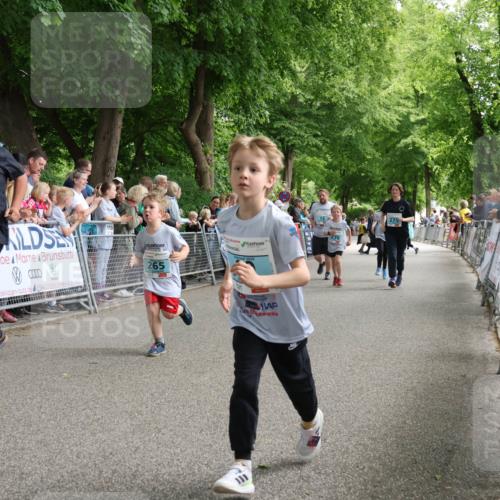 17.05.2025 - Störlauf Strokosch-Dieckow http://msf.ph/oto/7847306 17.05.2025 13:46:01 Ziel 156, 1196, 2025, 265, 275 meine-sportfotos.de
