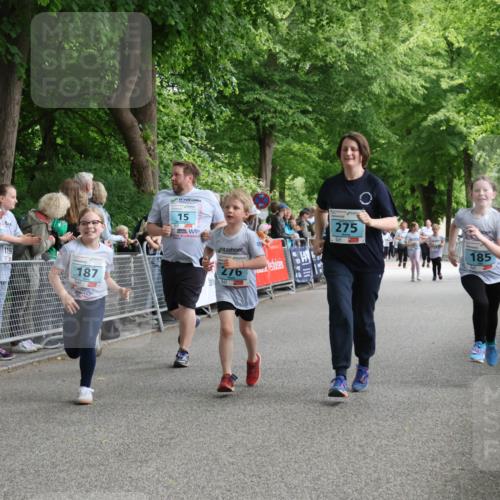 17.05.2025 - Störlauf Strokosch-Dieckow http://msf.ph/oto/7847310 17.05.2025 13:46:03 Ziel 0000, 1199, 187, 15, 276, 275, 185 meine-sportfotos.de