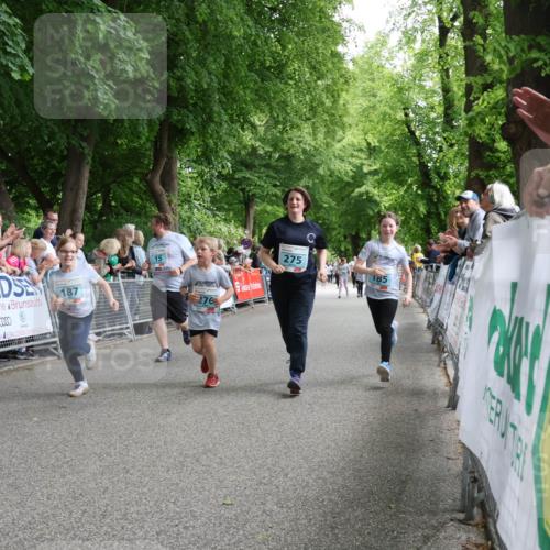 17.05.2025 - Störlauf Strokosch-Dieckow http://msf.ph/oto/7847312 17.05.2025 13:46:04 Ziel 187, 15, 276, 275, 185 meine-sportfotos.de