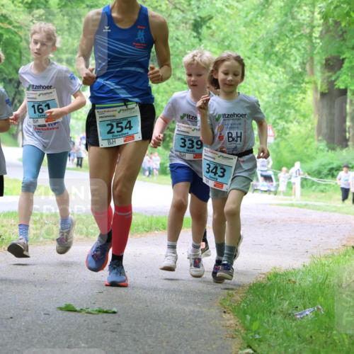 17.05.2025 - Störlauf Strokosch-Dieckow http://msf.ph/oto/7847313 17.05.2025 13:41:18 Laufen 2025, 255, 161, 254, 339, 343 meine-sportfotos.de