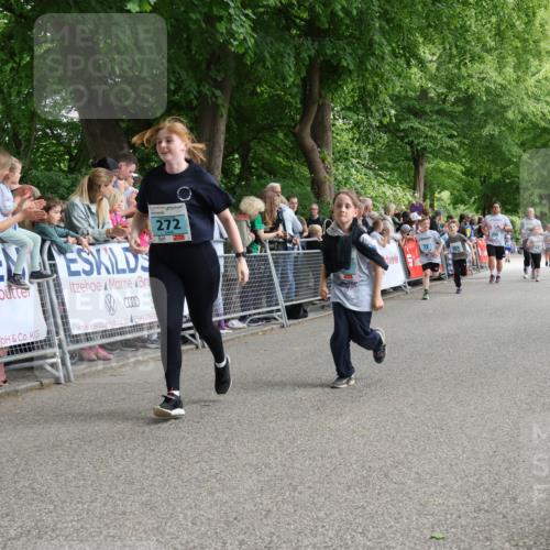 17.05.2025 - Störlauf Strokosch-Dieckow http://msf.ph/oto/7847341 17.05.2025 13:46:24 Ziel 0000, 100, 272, 301 meine-sportfotos.de