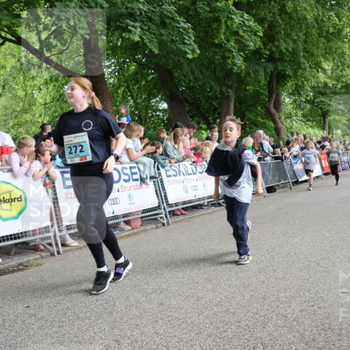 17.05.2025 - Störlauf Strokosch-Dieckow http://msf.ph/oto/7847343 17.05.2025 13:46:25 Ziel 272, 10 meine-sportfotos.de